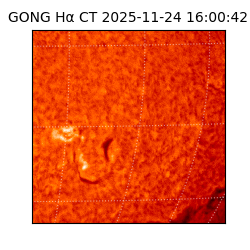 gong - 2025-11-24T16:00:42