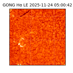 gong - 2025-11-24T05:00:42