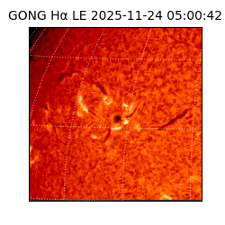 gong - 2025-11-24T05:00:42