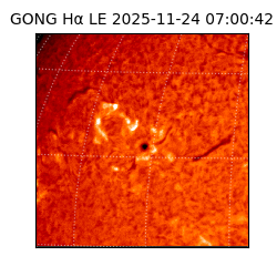 gong - 2025-11-24T07:00:42