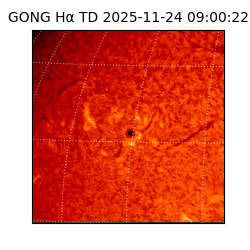 gong - 2025-11-24T09:00:22