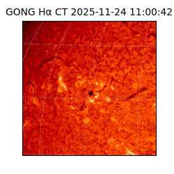 gong - 2025-11-24T11:00:42