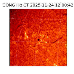 gong - 2025-11-24T12:00:42