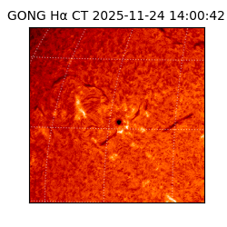 gong - 2025-11-24T14:00:42