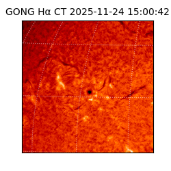 gong - 2025-11-24T15:00:42