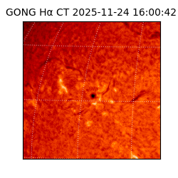 gong - 2025-11-24T16:00:42