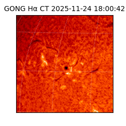 gong - 2025-11-24T18:00:42