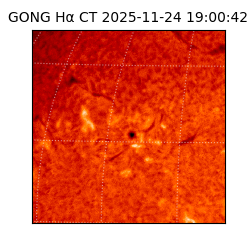 gong - 2025-11-24T19:00:42