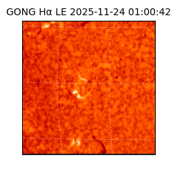 gong - 2025-11-24T01:00:42