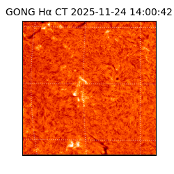 gong - 2025-11-24T14:00:42