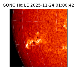 gong - 2025-11-24T01:00:42