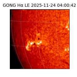 gong - 2025-11-24T04:00:42