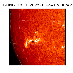 gong - 2025-11-24T05:00:42