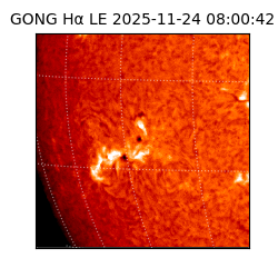 gong - 2025-11-24T08:00:42