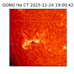 gong - 2025-11-24T19:00:42