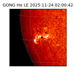 gong - 2025-11-24T02:00:42