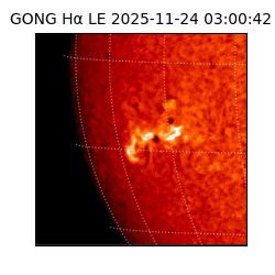 gong - 2025-11-24T03:00:42