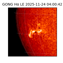 gong - 2025-11-24T04:00:42