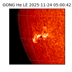 gong - 2025-11-24T05:00:42