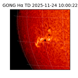 gong - 2025-11-24T10:00:22