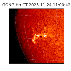 gong - 2025-11-24T11:00:42