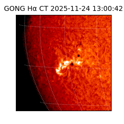 gong - 2025-11-24T13:00:42