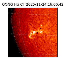 gong - 2025-11-24T16:00:42