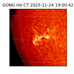 gong - 2025-11-24T19:00:42
