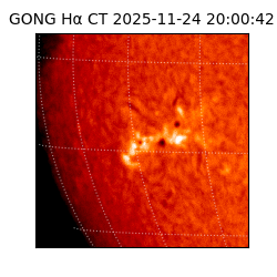 gong - 2025-11-24T20:00:42