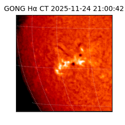 gong - 2025-11-24T21:00:42