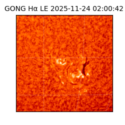 gong - 2025-11-24T02:00:42