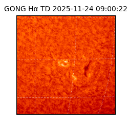 gong - 2025-11-24T09:00:22