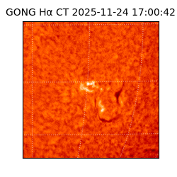 gong - 2025-11-24T17:00:42