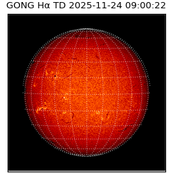 gong - 2025-11-24T09:00:22