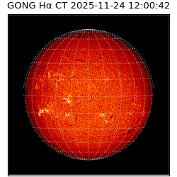 gong - 2025-11-24T12:00:42