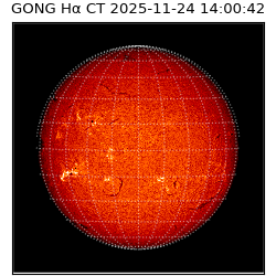 gong - 2025-11-24T14:00:42