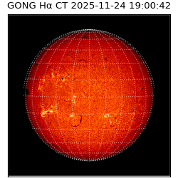 gong - 2025-11-24T19:00:42