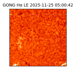 gong - 2025-11-25T05:00:42