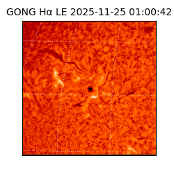 gong - 2025-11-25T01:00:42