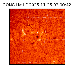 gong - 2025-11-25T03:00:42