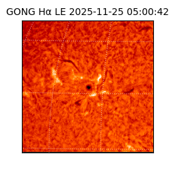 gong - 2025-11-25T05:00:42