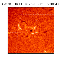 gong - 2025-11-25T06:00:42