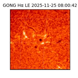 gong - 2025-11-25T08:00:42