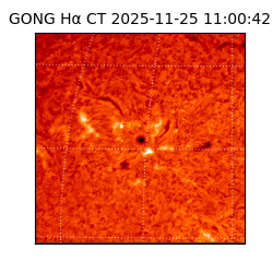 gong - 2025-11-25T11:00:42