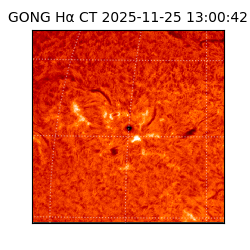 gong - 2025-11-25T13:00:42