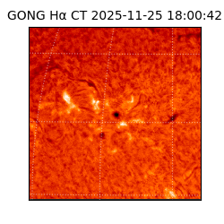 gong - 2025-11-25T18:00:42