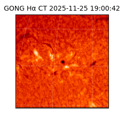 gong - 2025-11-25T19:00:42