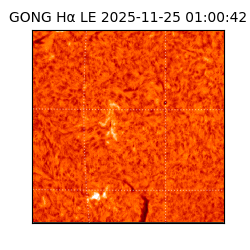 gong - 2025-11-25T01:00:42