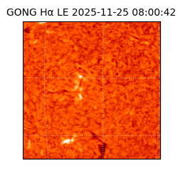 gong - 2025-11-25T08:00:42