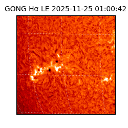 gong - 2025-11-25T01:00:42